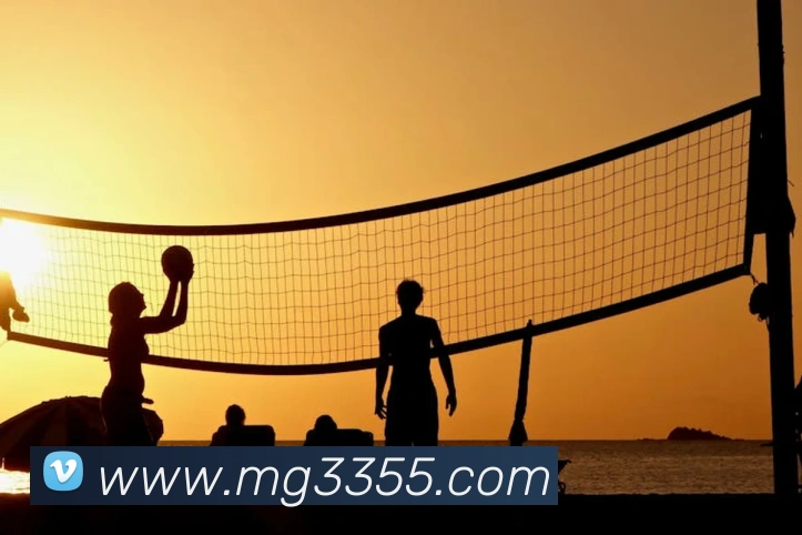 MG娱乐平台官网平台生态图